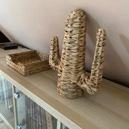 홈스테이 Sous Les Toits *